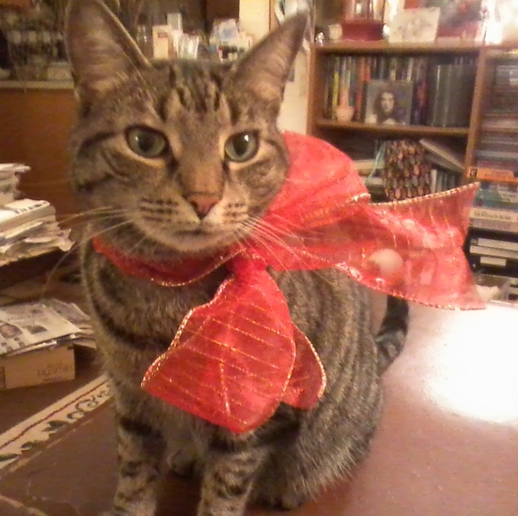 Meet your Posher, Hebrew - Picture 1 of 1